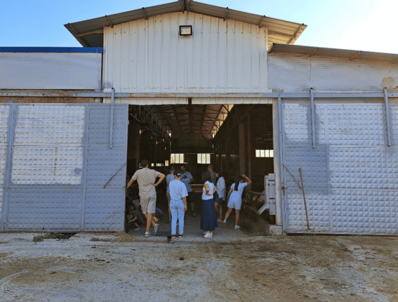 In Kosovo with a group of volunteers